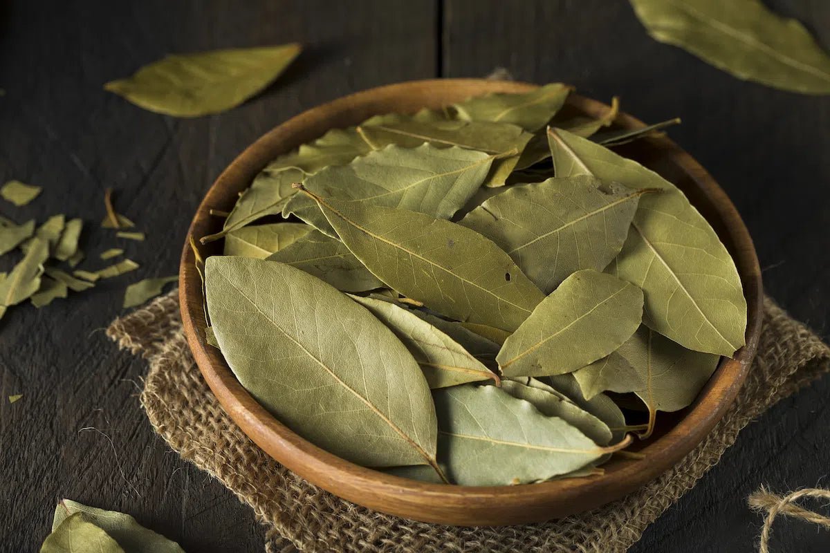 Bay Leaf Ritual - Ppiyanshi